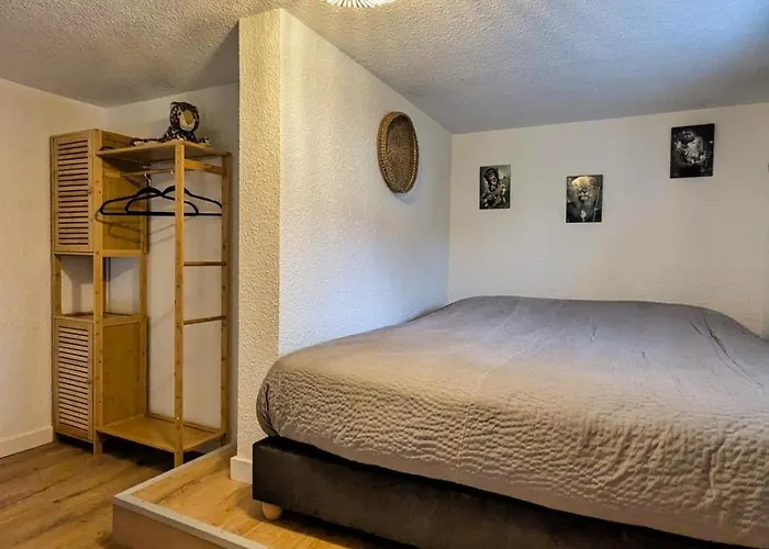 Duplex Le Jungle - Centre Bourgoin-Jallieu