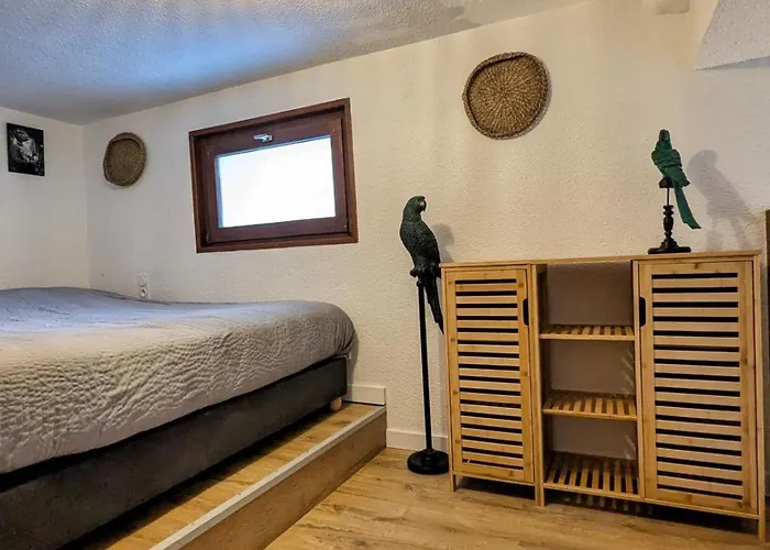 Duplex Le Jungle - Centre Apartman