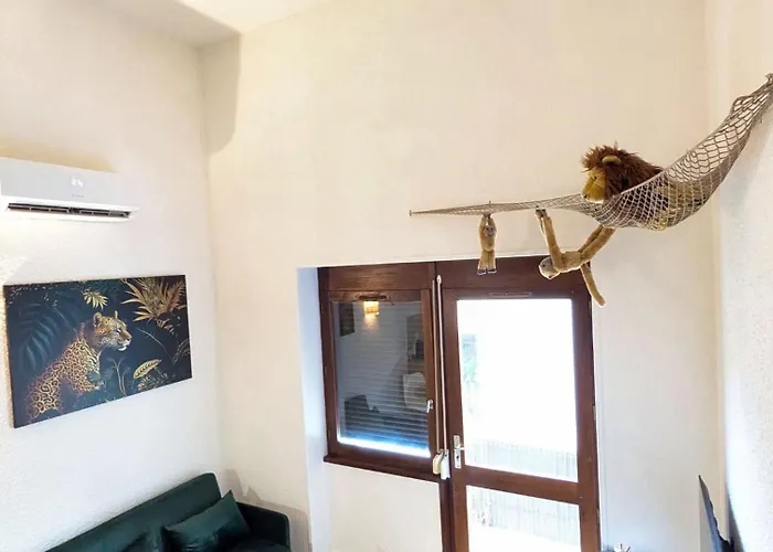 Duplex Le Jungle - Centre