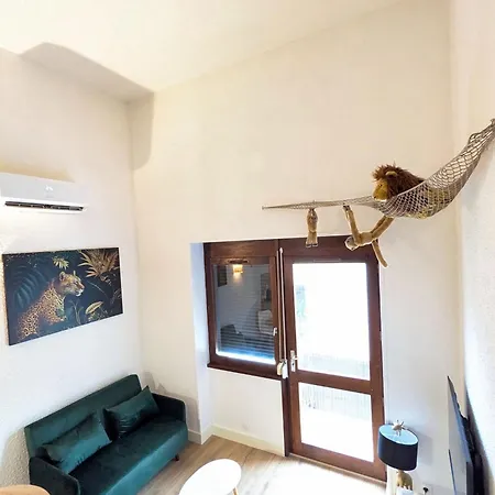 Duplex Le Jungle - Centre